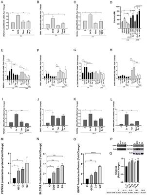 Activation of estrogen-related receptor γ by calcium and cadmium